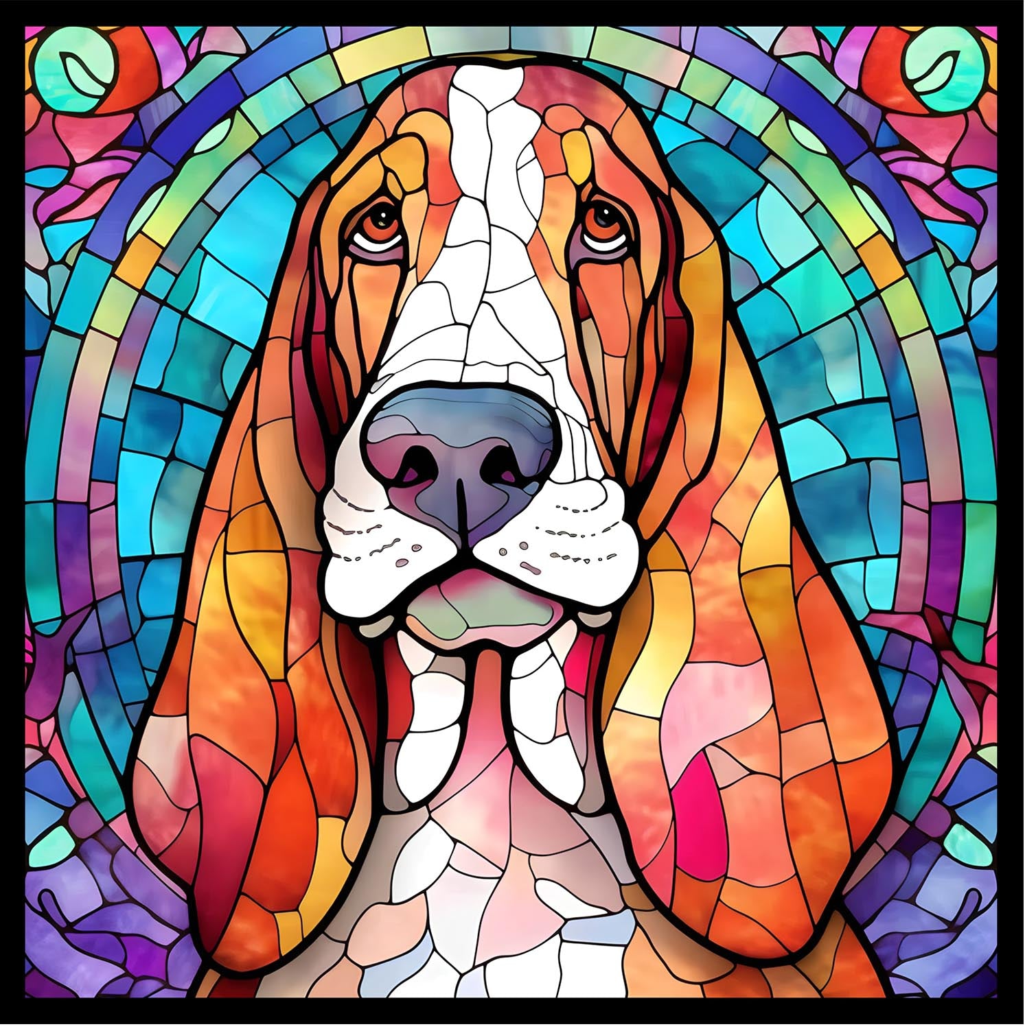 Basset Hound