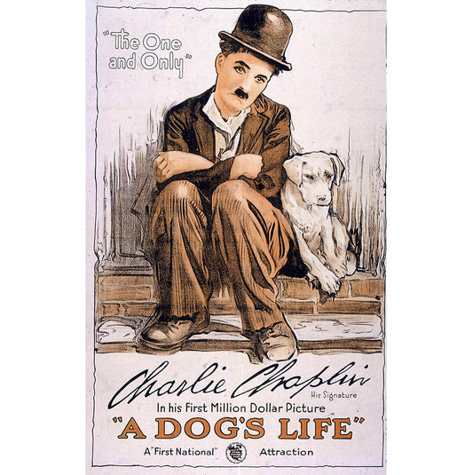 Poster a Dogs Life 01