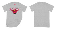 John Sweeney Catholic Elementary School Cardinals T-Shirt Small Sport Grey