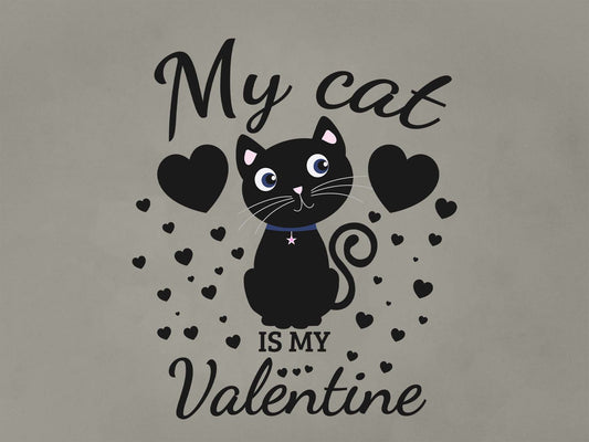 Fat Dave My Cat is my Valentine